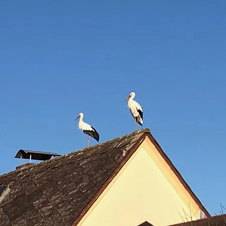 Streifzeit * Halbenrain